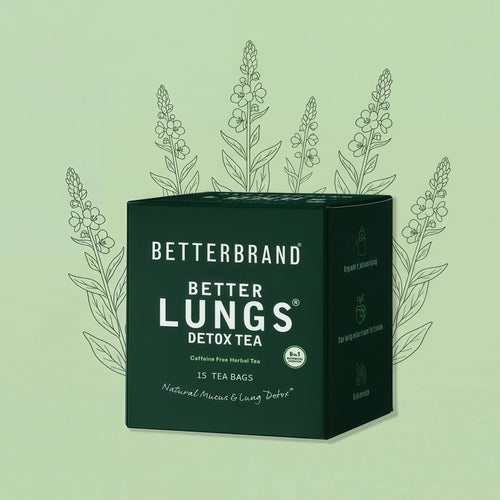 Betterbrand Mullein Tea Bags for Lung Detox - Respiratory Support with Thyme, Elderberry, Ginseng, Ginger, Caffeine Free Herbal Blend - 15 Tea Bags (Pack of 1)