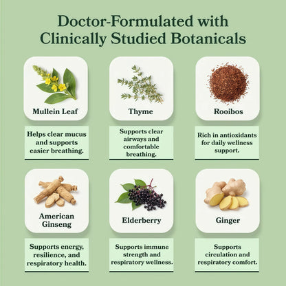 Betterbrand Mullein Tea Bags for Lung Detox - Respiratory Support with Thyme, Elderberry, Ginseng, Ginger, Caffeine Free Herbal Blend - 15 Tea Bags (Pack of 1)