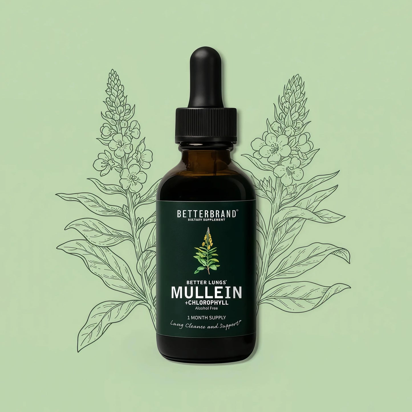 Betterbrand Mullein Drops for Lung Detox - Mullein Leaf Tincture with Chlorophyll - Helps Support Respiratory Health, Alcohol-Free, 1 Month Supply - 60ml