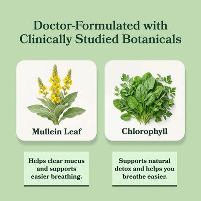 Betterbrand Mullein Drops for Lung Detox - Mullein Leaf Tincture with Chlorophyll - Helps Support Respiratory Health, Alcohol-Free, 1 Month Supply - 60ml
